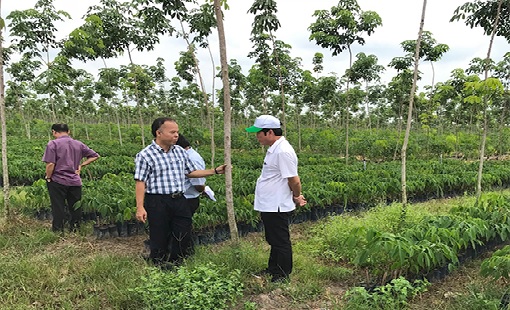 Hiệu quả từ cách làm mới